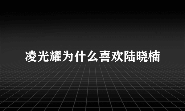 凌光耀为什么喜欢陆晓楠