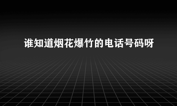 谁知道烟花爆竹的电话号码呀