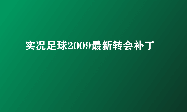 实况足球2009最新转会补丁