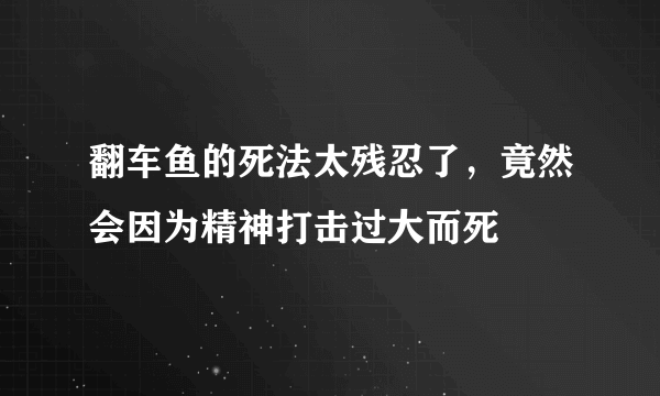 翻车鱼的死法太残忍了，竟然会因为精神打击过大而死