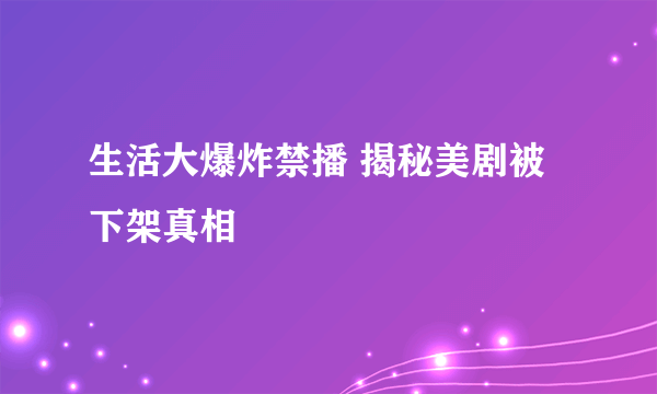 生活大爆炸禁播 揭秘美剧被下架真相