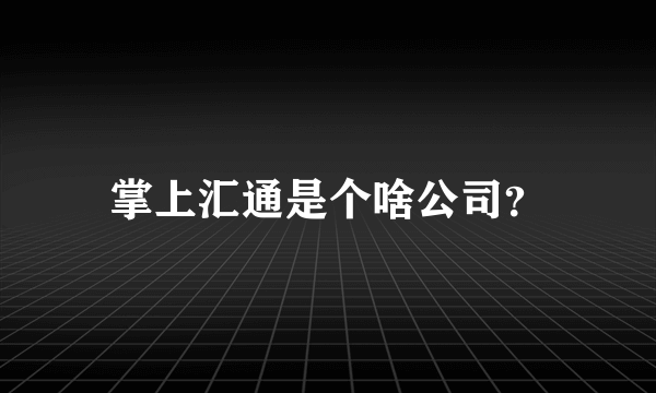 掌上汇通是个啥公司？