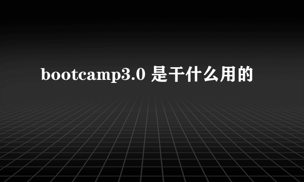 bootcamp3.0 是干什么用的