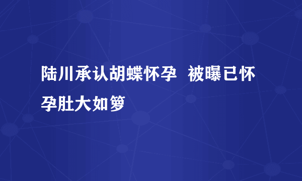 陆川承认胡蝶怀孕  被曝已怀孕肚大如箩