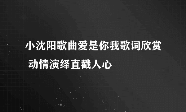 小沈阳歌曲爱是你我歌词欣赏 动情演绎直戳人心