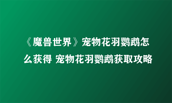 《魔兽世界》宠物花羽鹦鹉怎么获得 宠物花羽鹦鹉获取攻略