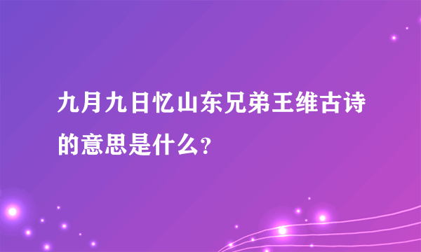 九月九日忆山东兄弟王维古诗的意思是什么？