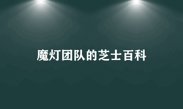 魔灯团队的芝士百科