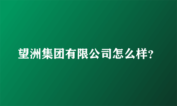 望洲集团有限公司怎么样？