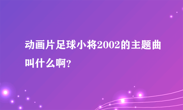 动画片足球小将2002的主题曲叫什么啊？