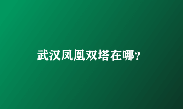 武汉凤凰双塔在哪？