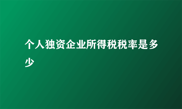 个人独资企业所得税税率是多少