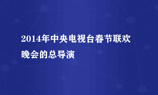 2014年中央电视台春节联欢晚会的总导演