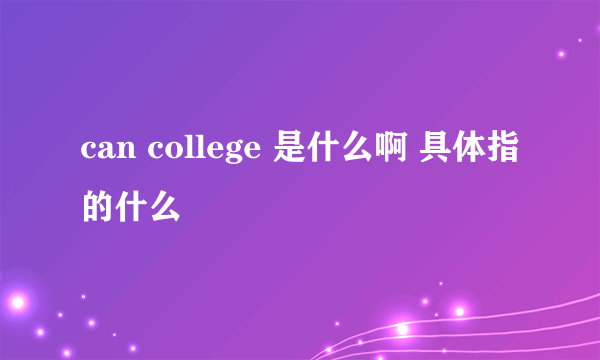 can college 是什么啊 具体指的什么