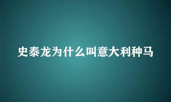 史泰龙为什么叫意大利种马