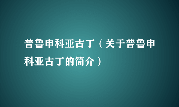 普鲁申科亚古丁（关于普鲁申科亚古丁的简介）