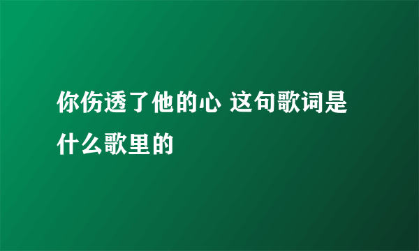 你伤透了他的心 这句歌词是什么歌里的