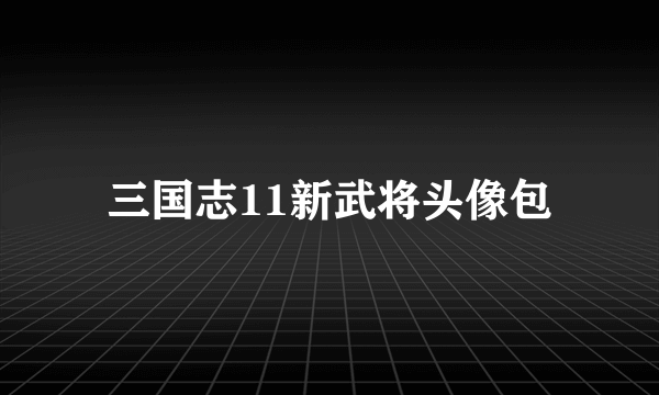 三国志11新武将头像包