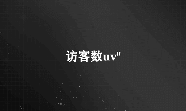 访客数uv