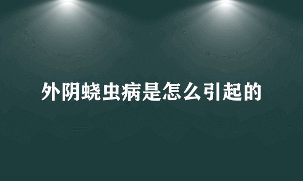 外阴蛲虫病是怎么引起的