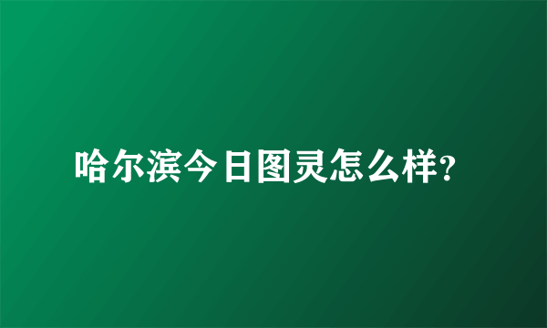 哈尔滨今日图灵怎么样？