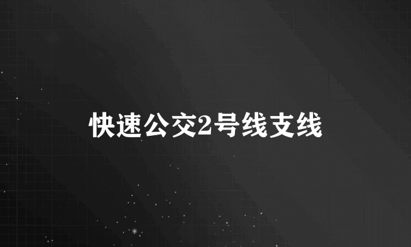 快速公交2号线支线