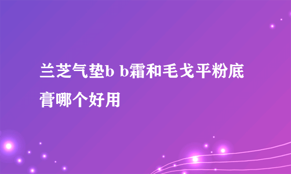 兰芝气垫b b霜和毛戈平粉底膏哪个好用