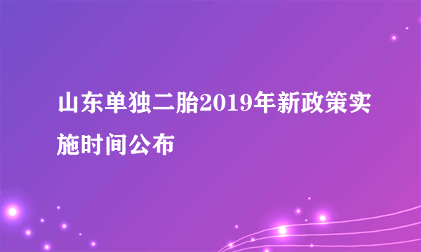 山东单独二胎2019年新政策实施时间公布