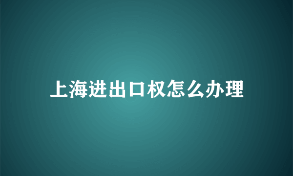 上海进出口权怎么办理