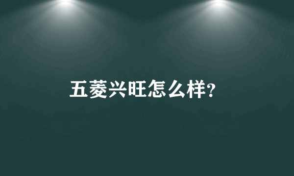 五菱兴旺怎么样？