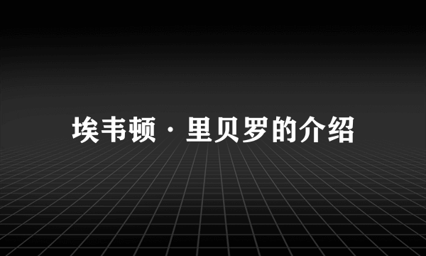 埃韦顿·里贝罗的介绍