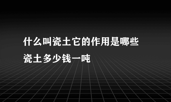 什么叫瓷土它的作用是哪些 瓷土多少钱一吨