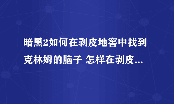 暗黑2如何在剥皮地窖中找到克林姆的脑子 怎样在剥皮地窖中找到克林姆的脑子