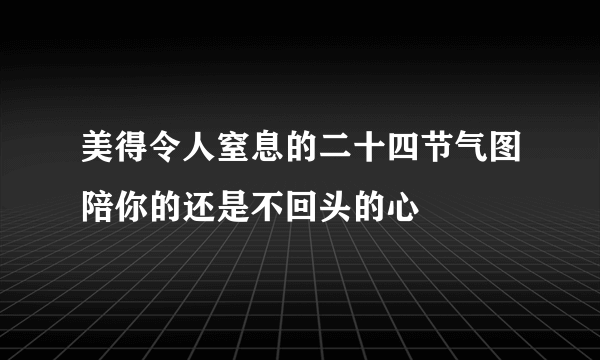 美得令人窒息的二十四节气图陪你的还是不回头的心