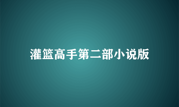 灌篮高手第二部小说版