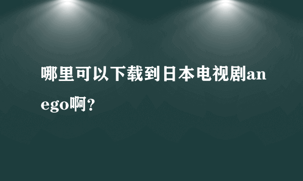 哪里可以下载到日本电视剧anego啊？