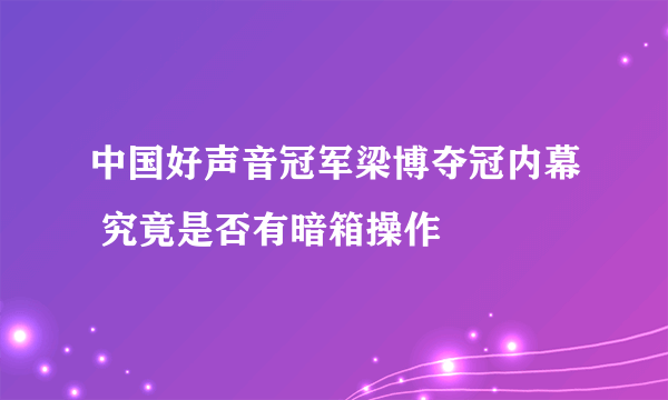 中国好声音冠军梁博夺冠内幕 究竟是否有暗箱操作