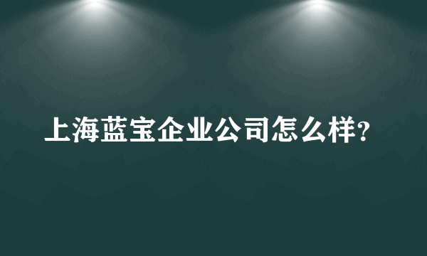 上海蓝宝企业公司怎么样？