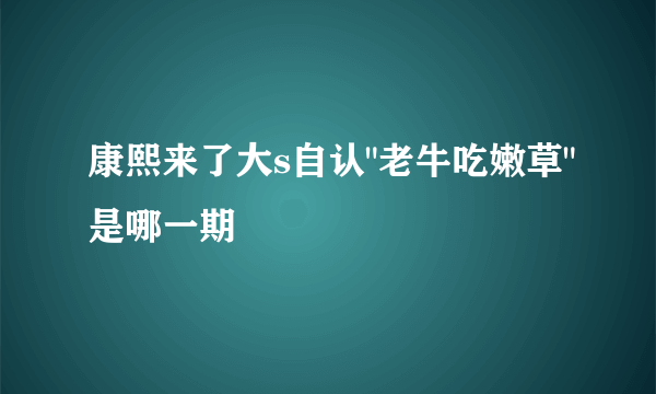 康熙来了大s自认