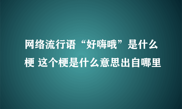 网络流行语“好嗨哦”是什么梗 这个梗是什么意思出自哪里