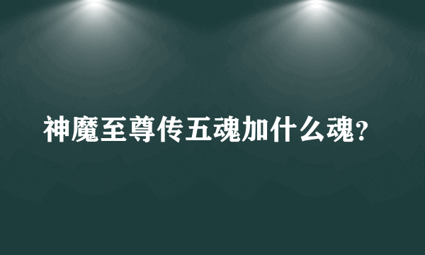 神魔至尊传五魂加什么魂？