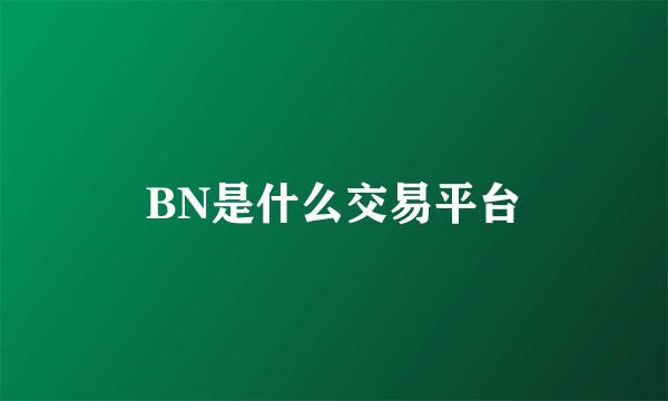 BN是什么交易平台