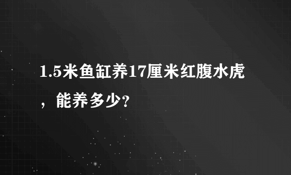 1.5米鱼缸养17厘米红腹水虎，能养多少？