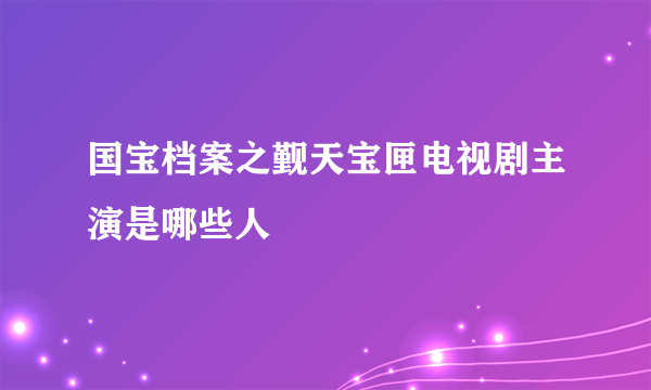 国宝档案之觐天宝匣电视剧主演是哪些人