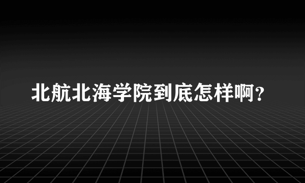 北航北海学院到底怎样啊？