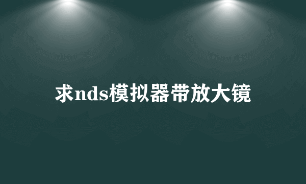 求nds模拟器带放大镜