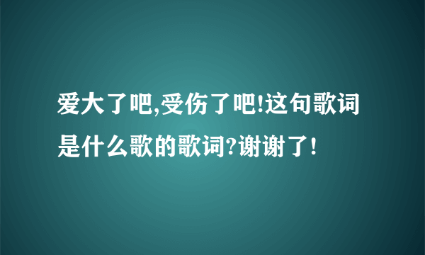 爱大了吧,受伤了吧!这句歌词是什么歌的歌词?谢谢了!