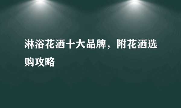 淋浴花洒十大品牌，附花洒选购攻略