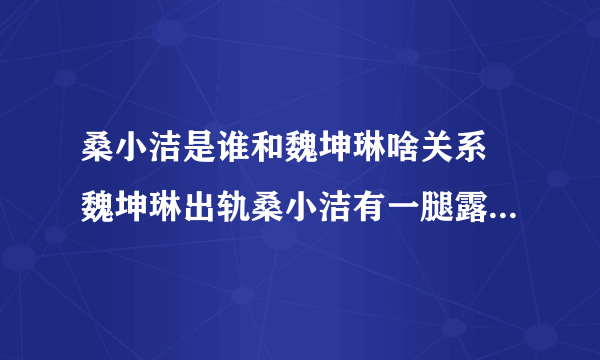 桑小洁是谁和魏坤琳啥关系 魏坤琳出轨桑小洁有一腿露骨聊天记录