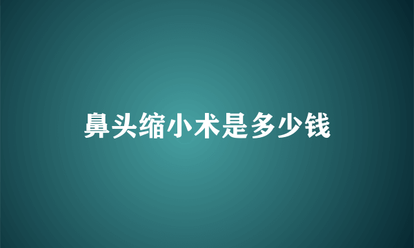 鼻头缩小术是多少钱